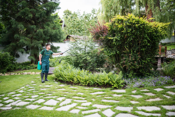 Best Affordable Pest Control Services  in Port Salerno, FL