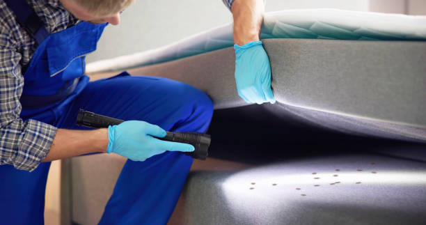 Wasp Removal Services in Port Salerno, FL