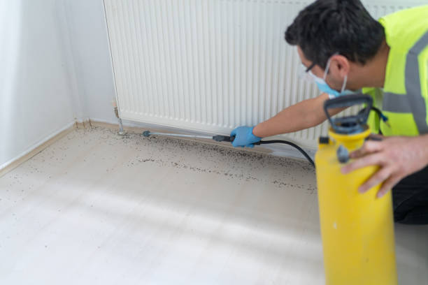 Best Residential Pest Control  in Port Salerno, FL